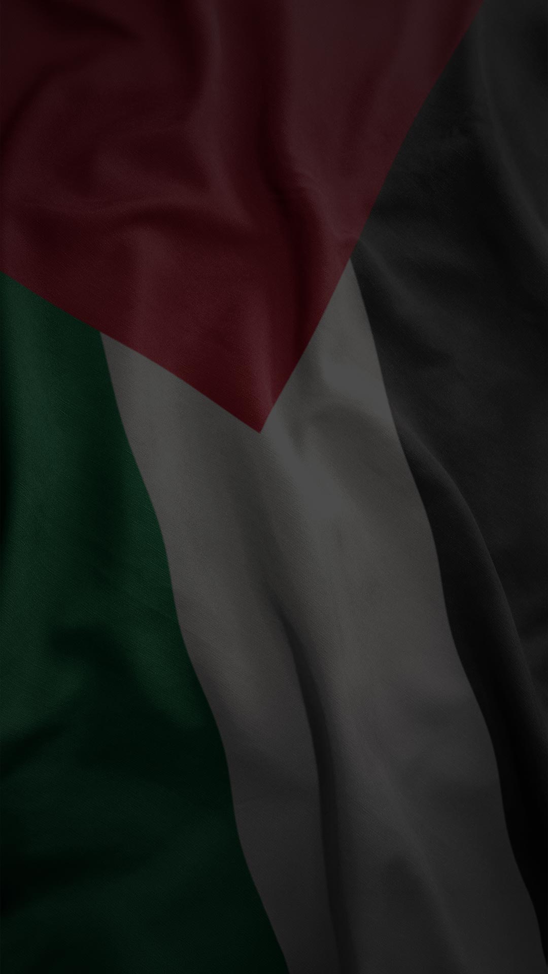 AFRP Special Town Hall with the Palestinian Land Authority